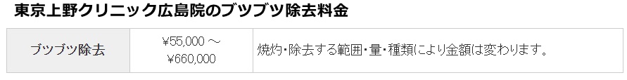 上野クリニック広島の治療費