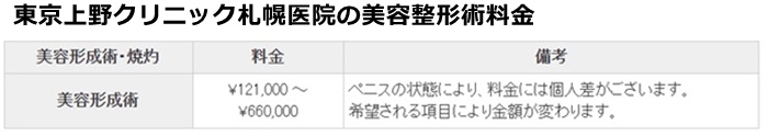 東京上野クリニック札幌の施術費用