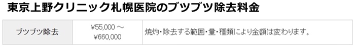 東京上野クリニック札幌の施術費用